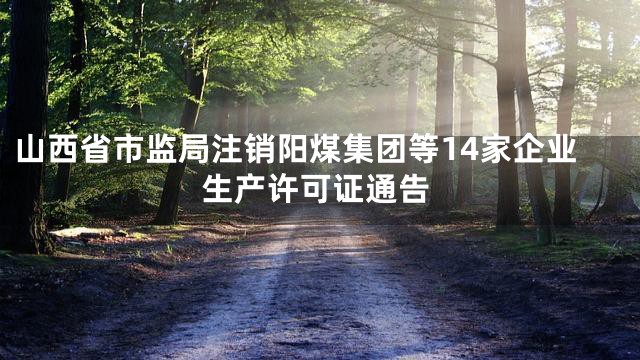 山西省市监局注销阳煤集团等14家企业生产许可证通告