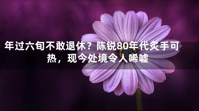 年过六旬不敢退休？陈锐80年代炙手可热，现今处境令人唏嘘