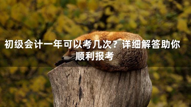 初级会计一年可以考几次？详细解答助你顺利报考
