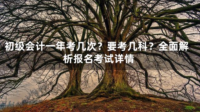 初级会计一年考几次？要考几科？全面解析报名考试详情