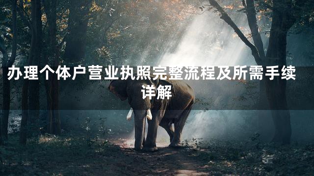 办理个体户营业执照完整流程及所需手续详解