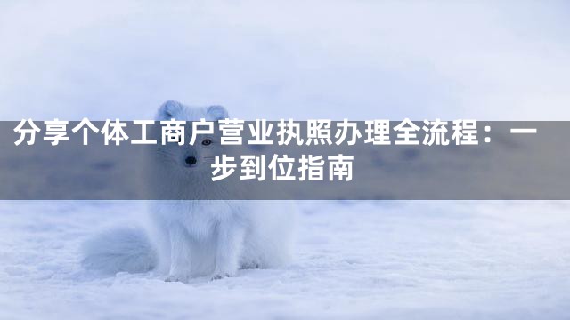 分享个体工商户营业执照办理全流程：一步到位指南