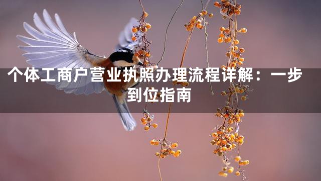 个体工商户营业执照办理流程详解：一步到位指南