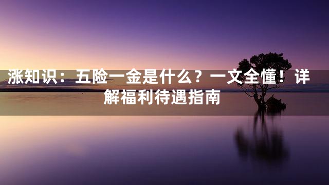 涨知识：五险一金是什么？一文全懂！详解福利待遇指南