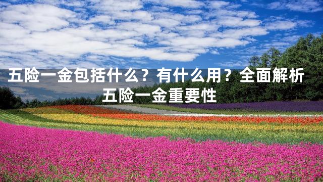 五险一金包括什么？有什么用？全面解析五险一金重要性