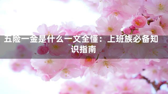五险一金是什么一文全懂：上班族必备知识指南