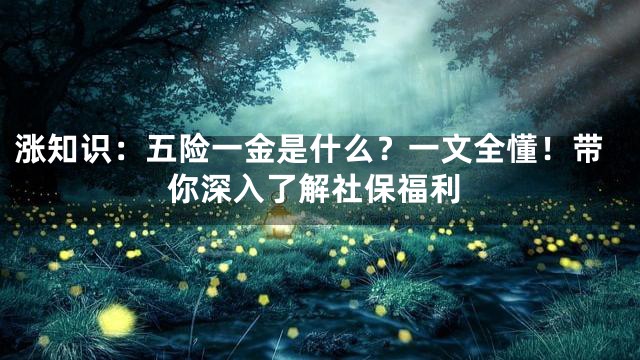 涨知识：五险一金是什么？一文全懂！带你深入了解社保福利