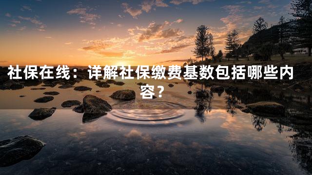 社保在线：详解社保缴费基数包括哪些内容？