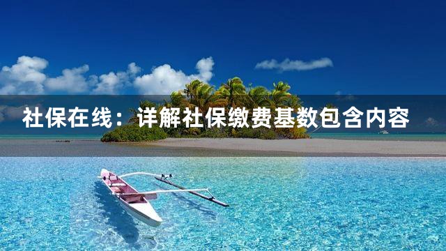 社保在线：详解社保缴费基数包含内容