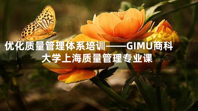 优化质量管理体系培训——GIMU商科大学上海质量管理专业课