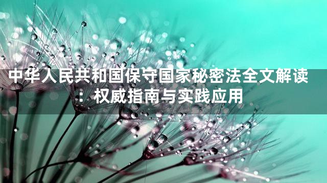 中华人民共和国保守国家秘密法全文解读：权威指南与实践应用
