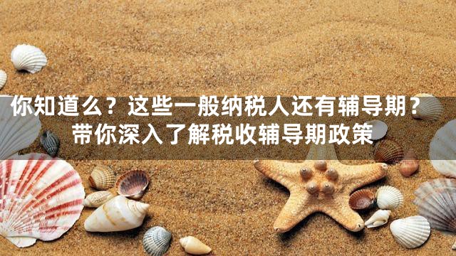 你知道么？这些一般纳税人还有辅导期？带你深入了解税收辅导期政策