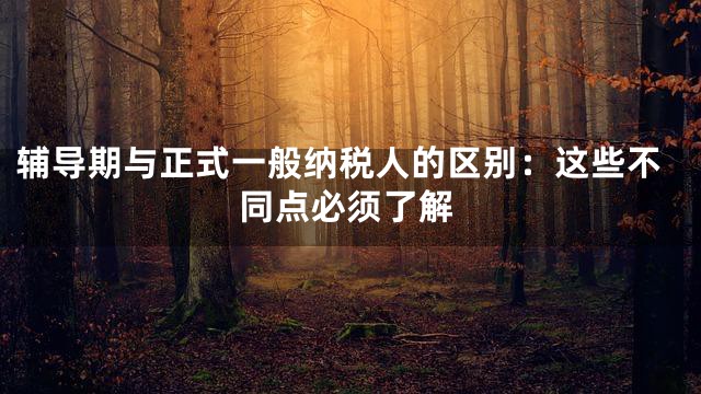 辅导期与正式一般纳税人的区别：这些不同点必须了解