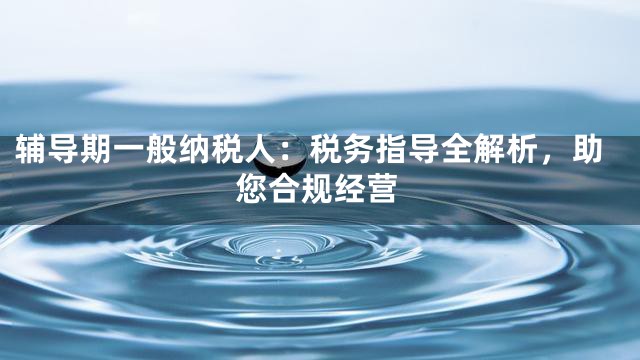 辅导期一般纳税人：税务指导全解析，助您合规经营