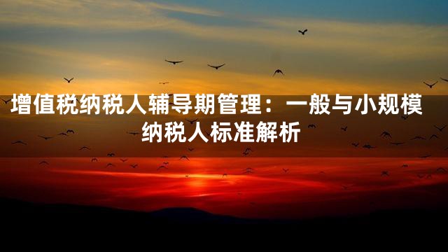 增值税纳税人辅导期管理：一般与小规模纳税人标准解析