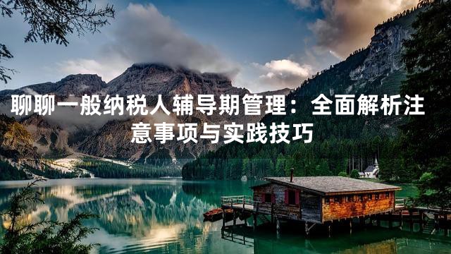 聊聊一般纳税人辅导期管理：全面解析注意事项与实践技巧