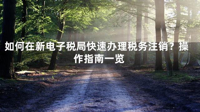 如何在新电子税局快速办理税务注销？操作指南一览