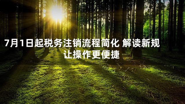 7月1日起税务注销流程简化 解读新规让操作更便捷