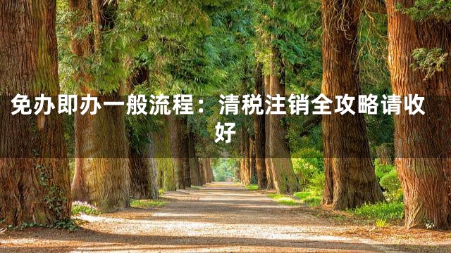 免办即办一般流程：清税注销全攻略请收好