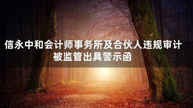 信永中和会计师事务所及合伙人违规审计 被监管出具警示函