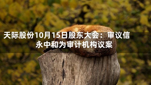 天际股份10月15日股东大会：审议信永中和为审计机构议案