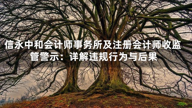 信永中和会计师事务所及注册会计师收监管警示：详解违规行为与后果