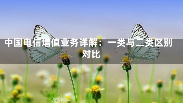 中国电信增值业务详解：一类与二类区别对比