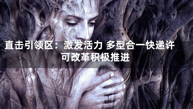 直击引领区：激发活力 多型合一快递许可改革积极推进