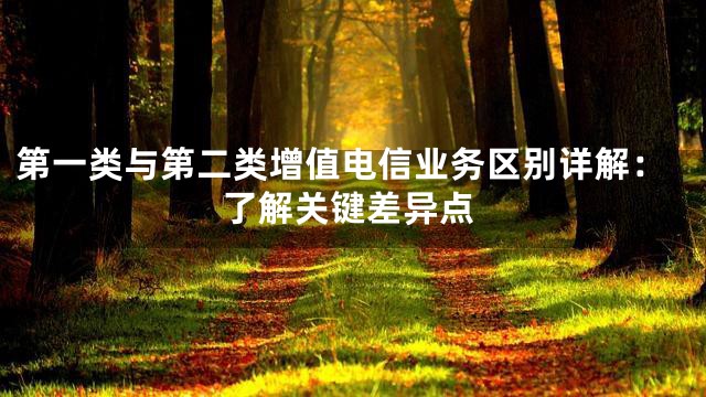 第一类与第二类增值电信业务区别详解：了解关键差异点