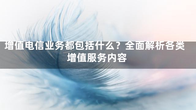 增值电信业务都包括什么？全面解析各类增值服务内容