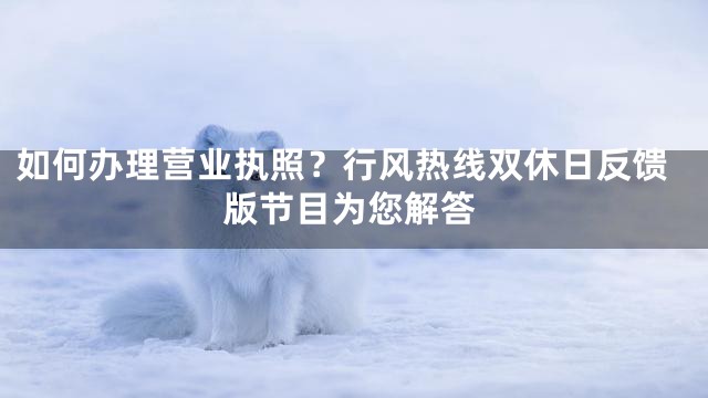 如何办理营业执照？行风热线双休日反馈版节目为您解答
