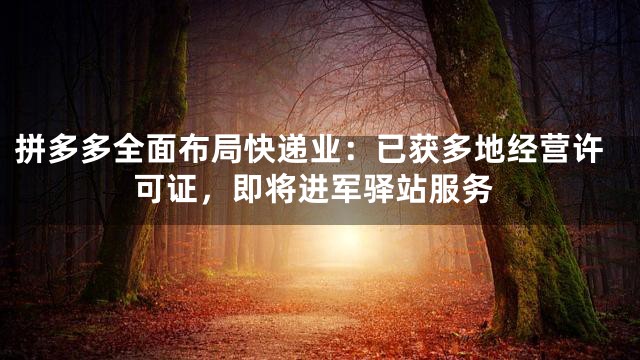 拼多多全面布局快递业：已获多地经营许可证，即将进军驿站服务