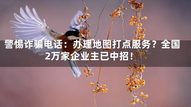 警惕诈骗电话：办理地图打点服务？全国2万家企业主已中招！