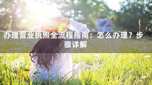 办理营业执照全流程指南：怎么办理？步骤详解