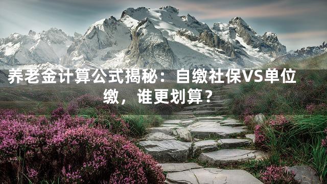 养老金计算公式揭秘：自缴社保VS单位缴，谁更划算？