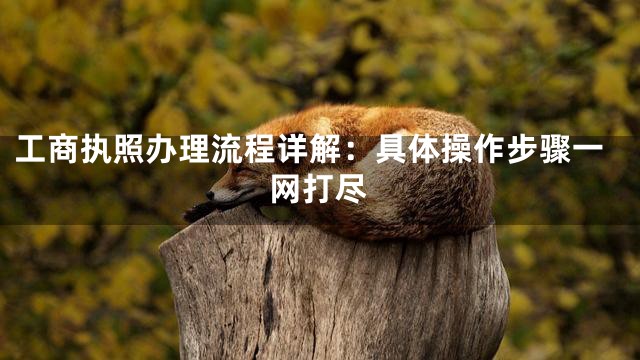 工商执照办理流程详解：具体操作步骤一网打尽