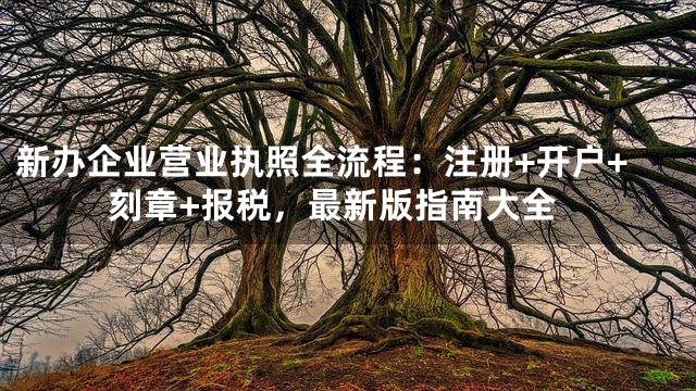 新办企业营业执照全流程：注册+开户+刻章+报税，最新版指南大全