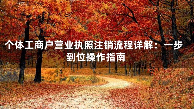 个体工商户营业执照注销流程详解：一步到位操作指南