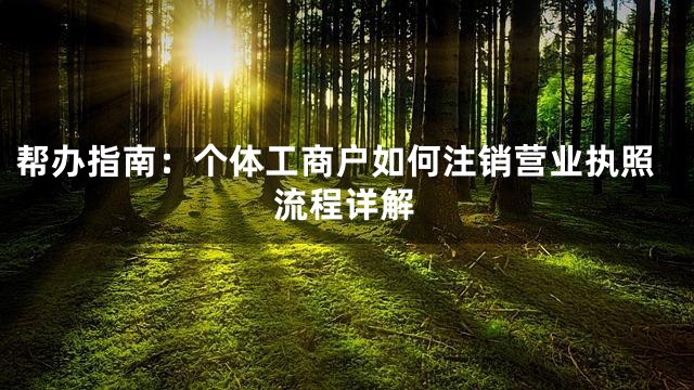 帮办指南：个体工商户如何注销营业执照流程详解