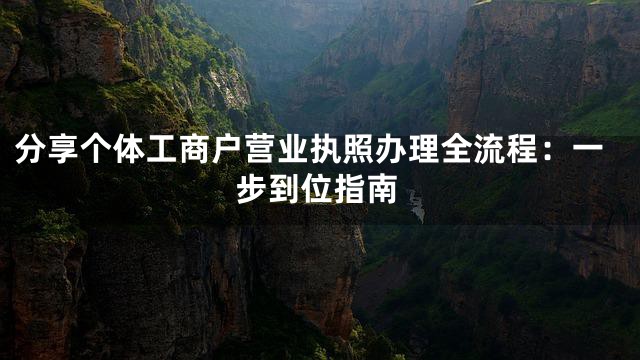分享个体工商户营业执照办理全流程：一步到位指南