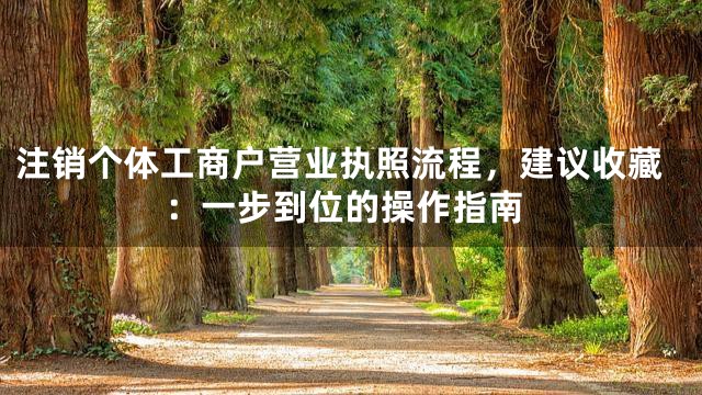 注销个体工商户营业执照流程，建议收藏：一步到位的操作指南
