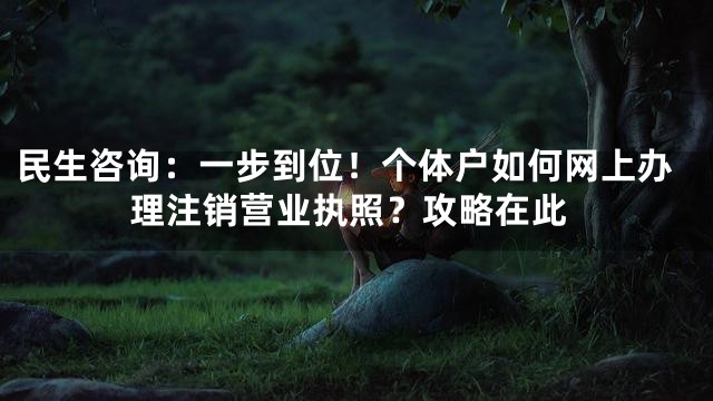 民生咨询：一步到位！个体户如何网上办理注销营业执照？攻略在此