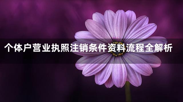 个体户营业执照注销条件资料流程全解析