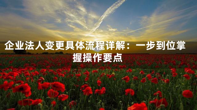 企业法人变更具体流程详解：一步到位掌握操作要点