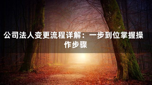 公司法人变更流程详解：一步到位掌握操作步骤