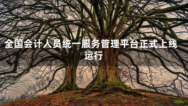 全国会计人员统一服务管理平台正式上线运行