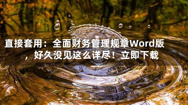 直接套用：全面财务管理规章Word版，好久没见这么详尽！立即下载