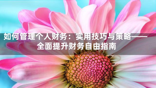 如何管理个人财务：实用技巧与策略——全面提升财务自由指南