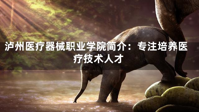 泸州医疗器械职业学院简介：专注培养医疗技术人才