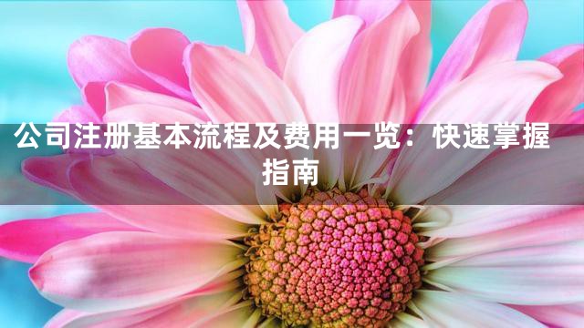 公司注册基本流程及费用一览：快速掌握指南